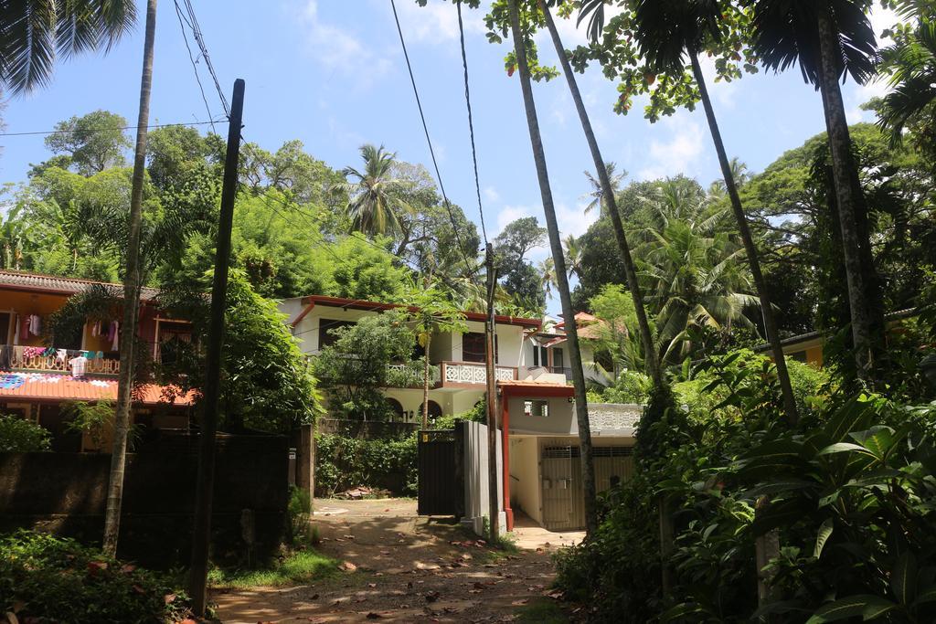 Jungle Guest House Galle Εξωτερικό φωτογραφία