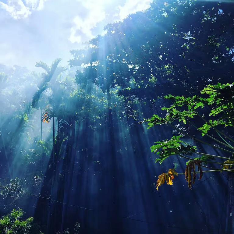 Jungle Guest House Galle Εξωτερικό φωτογραφία